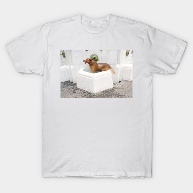 Water dog T-Shirt by Parafull